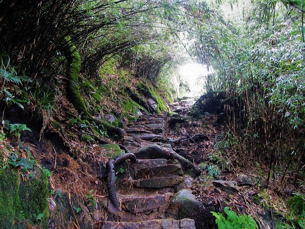 Mt Fansipan Trekking 4 Day Tour